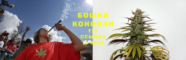 мескалин Богородицк