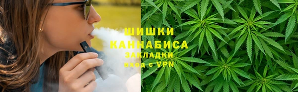 дурь Богданович