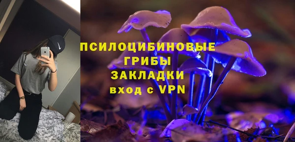 дурь Богданович