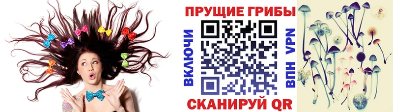 Галлюциногенные грибы мухоморы  Купить  Баймак 